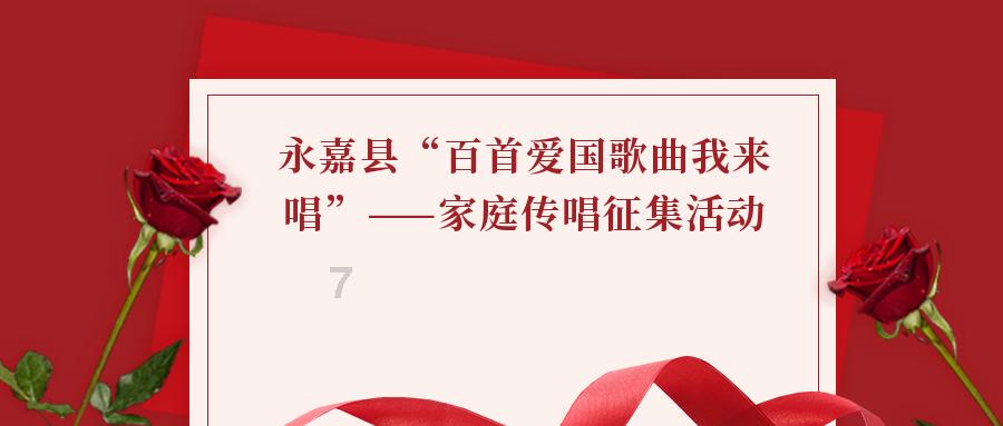 寻找萌宠松鼠